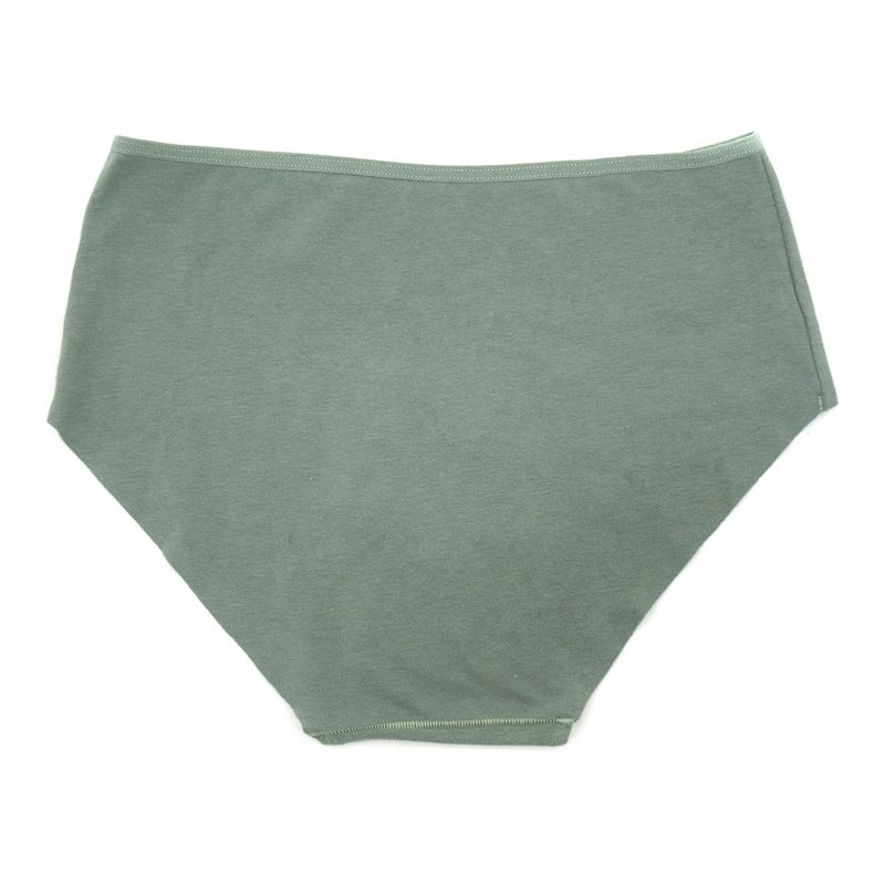 UWF-1156-posterior