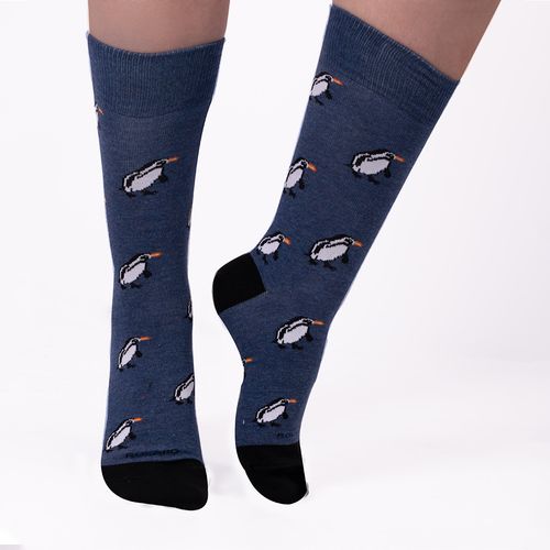 MEDIA CASUAL REGIONS LISA PINGÜINO SURTIDO