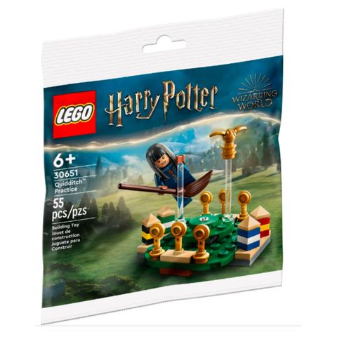 JUGUETE LEGO ENTRENAMIENTO DE QUIDDITCH™