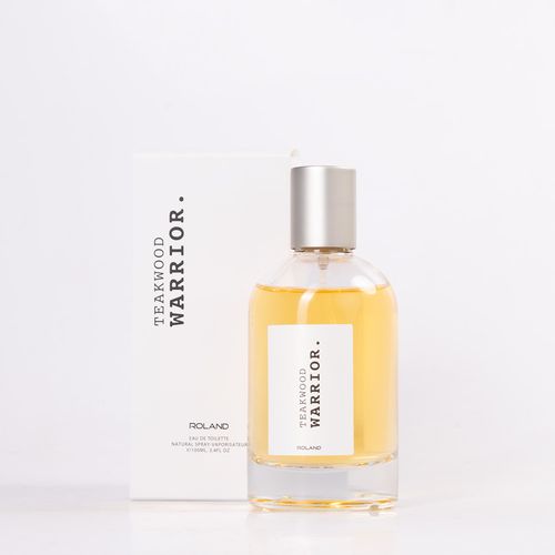 PERFUME WARRIOR 100 ML SURTIDO