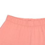 PJFR1141_2