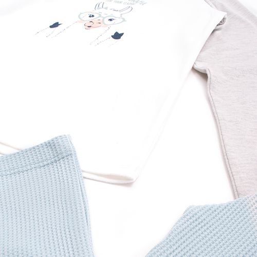 PIJAMA LLAMA CONJUNTO MANGA LARGA+PANTALON CRUDO