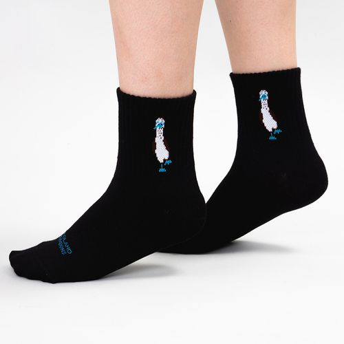 MEDIA DEPORTIVA CAÑA ZAPATILLA LISA PIQUERO SIN COSTURA NEGRO PACK X1