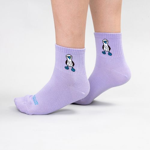 MEDIA DEPORTIVA CAÑA ZAPATILLA LISA PIQUERO SIN COSTURA LILA PACK X1