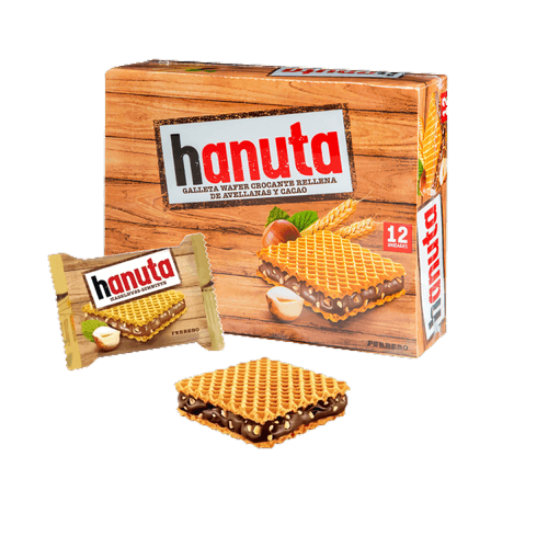 GALLETAS CONFITERIA GALLETAS DULCES HANUTA WAFER