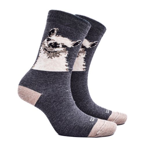 MEDIAS ALPACA ROLAND REGIONS
