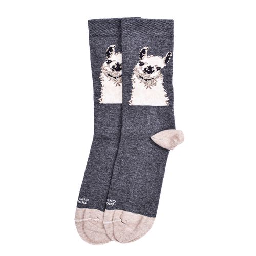 MEDIAS ALPACA ROLAND REGIONS