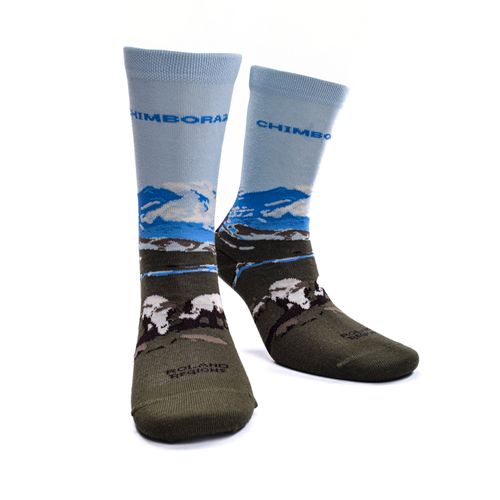 MEDIAS VOLCÁN CHIMBORAZO ROLAND REGIONS