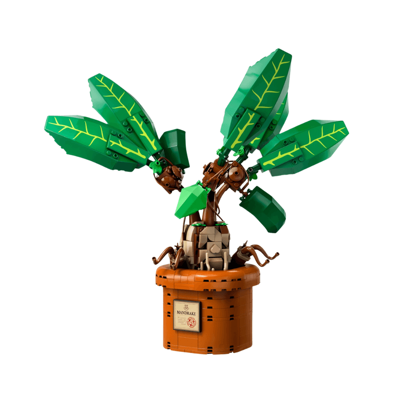 Diseno sin titulo -1-